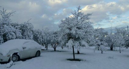 Llega cuarta tormenta invernal con lluvias fuertes y caída de nieve o aguanieve en estos Estados