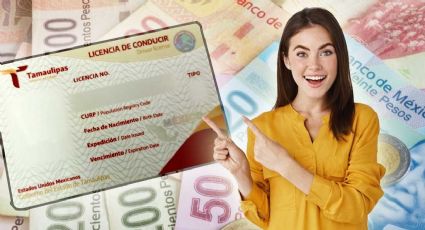 Licencia permanente 2024: precios del trámite en estos tres estados