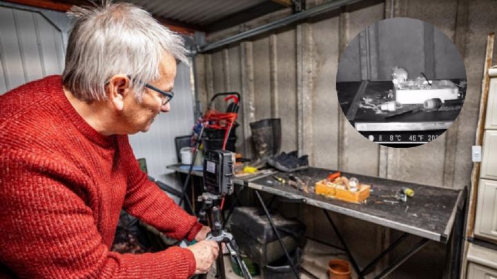 ¿Chefcito eres tú? Captan a “Ratatouille” en la vida real | VIDEO