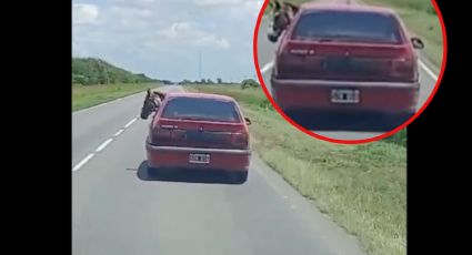 Conductor pasea a un caballo en su auto pequeño por la carretera | VIDEO