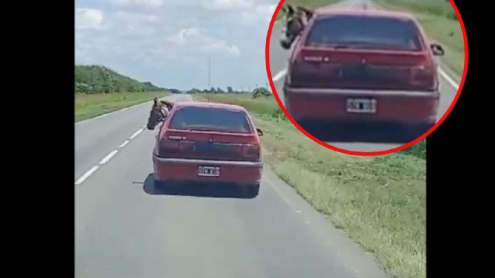 Conductor pasea a un caballo en su auto pequeño por la carretera | VIDEO
