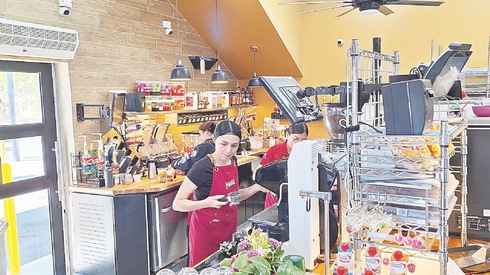 La cafetería regala a diario un promedio de cinco kilos de composta, que es un alimento para las plantas.