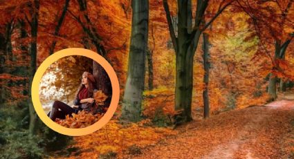 No es Europa, es México; este pueblo mágico, la 'Suiza mexicana' ofrece paisajes sacados de películas