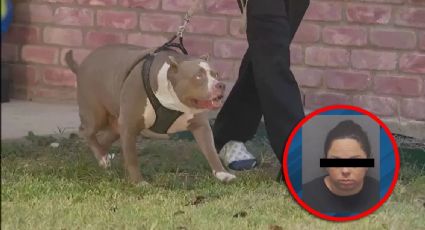 Bebé muere por ataque de pitbull en Texas; la niñera fue detenida