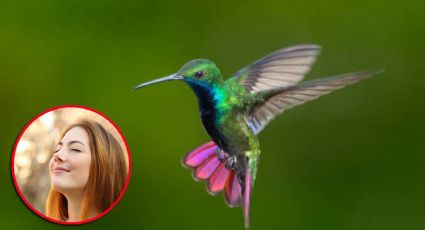 Este es el significado de que un colibrí visite tu casa; es importante y muy emotivo