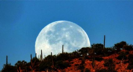 ¡Alza la vista!: hoy la Luna del Cazador iluminará el cielo nocturno; es la más brillante del año