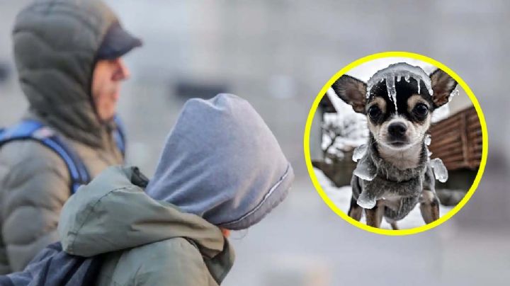 Frente Frío 4: traería temperatura de hasta -5 grados en estos lugares