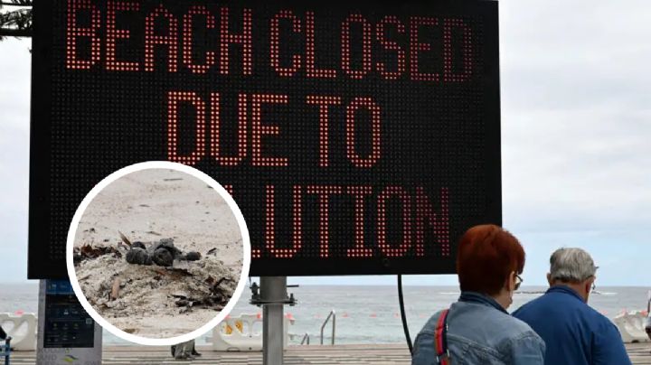 Cierran playas tras aparición de extrañas bolas negras; científicos analizan su contenido