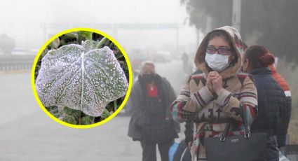 ¡Saque las cobijas!, viene Frente Frío 5 a México; habrá lluvia y temperaturas de -5 grados