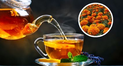 ¿Té de cempasúchil?: te sorprenderán sus beneficios medicinales