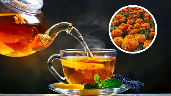 ¿Té de cempasúchil?: te sorprenderán sus beneficios medicinales