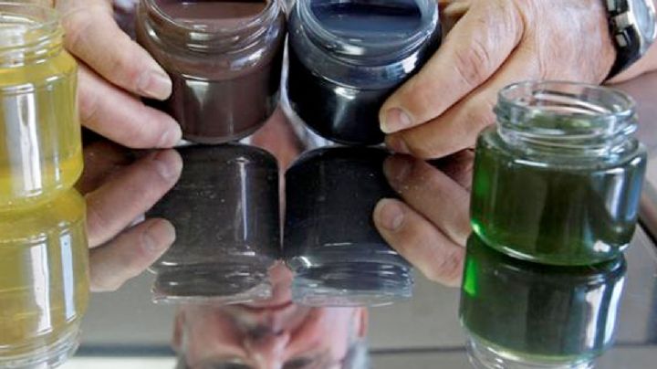 El extraño caso de las abejas que empezaron a producir miel azul y verde