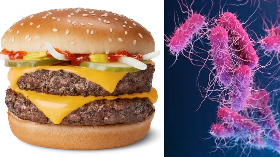 Brote de e. coli en hamburguesas de McDonalds.