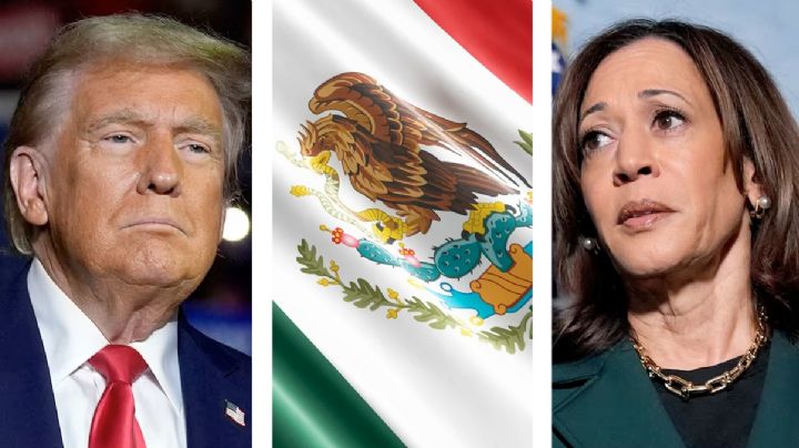 Kamala Harris o Donald Trump: ¿quién le conviene más a los mexicanos que gane las elecciones?