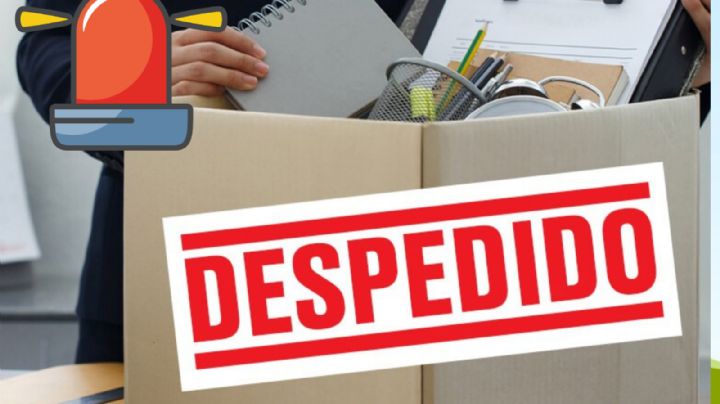 LFT: razones por las que te pueden despedir sin derecho a liquidación