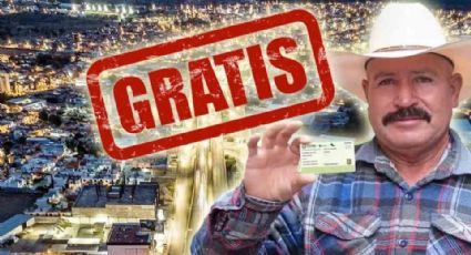 Licencia de conducir permanente gratis en noviembre 2024 si cumples con estos requisitos