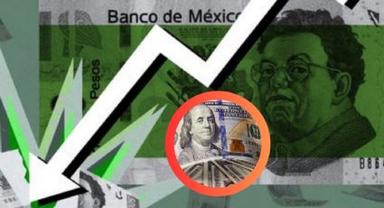 Dólar al alza: el peso, ¿en la cuerda floja?: tipo de cambio del dólar HOY martes 29 de octubre de 2024