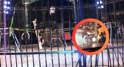 Niño de 3 años es atacado por pantera en el circo; intentaban tomarle una foto