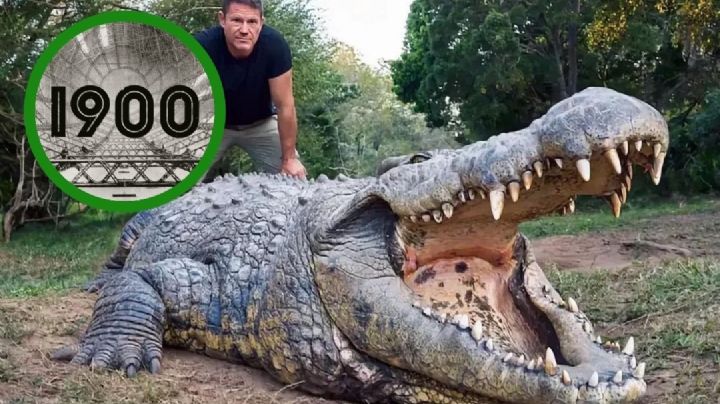 Conoce a Henry, el cocodrilo más viejo del mundo; tiene 123 años