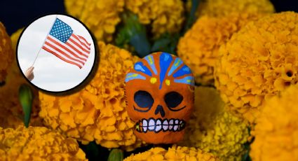 Día de Muertos: ¿puedo cruzar la flor de cempasúchil a EU por los puentes internacionales?