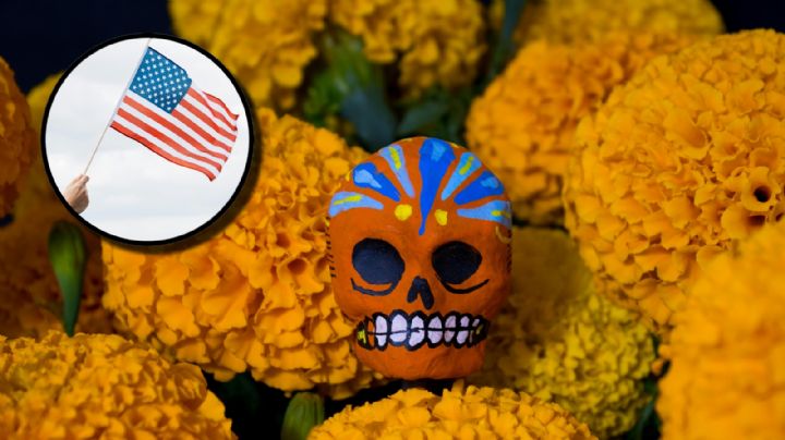 Día de Muertos: ¿puedo cruzar la flor de cempasúchil a EU por los puentes internacionales?