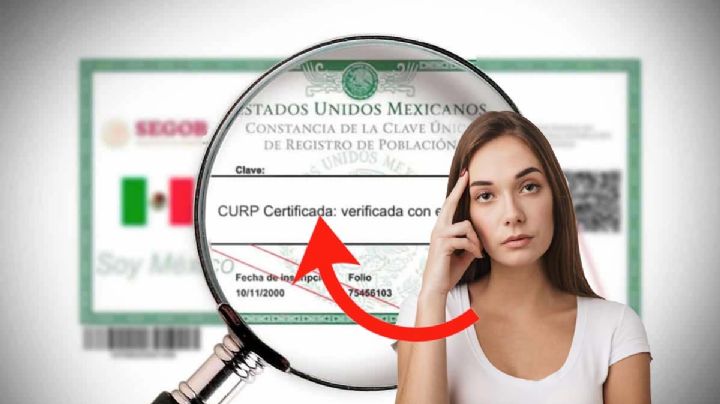 CURP certificada y actualizada en octubre 2024; paso a paso para descargarla GRATIS