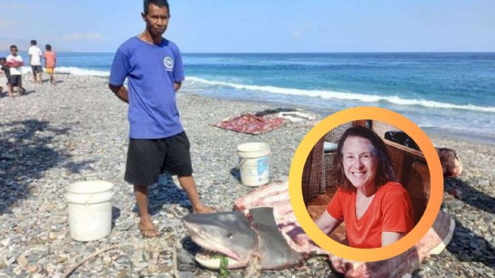 Pescador halla restos de mujer desaparecida; estaba dentro de un tiburón