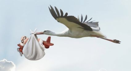 ¿Qué nacionalidad tendría un bebé si naciera en un avión? Esto sabemos