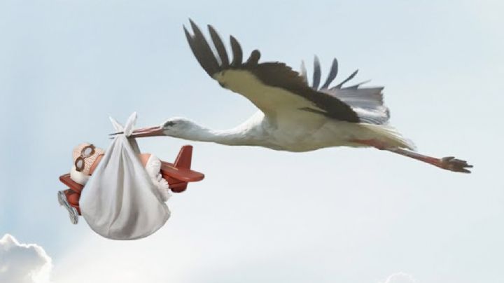 ¿Qué nacionalidad tendría un bebé si naciera en un avión? Esto sabemos