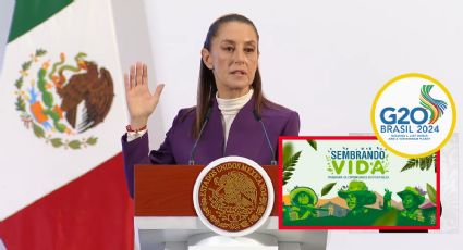 Sheinbaum presentará programa 'Sembrando Vida' en el G20: 'en vez de sembrar guerra, sembramos vida'