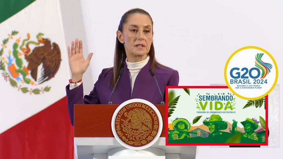El programa insignia del gobierno mexicano, además de contribuir al desarrollo rural y la protección del medio ambiente, busca generar un impacto social en la viva de millones de mexicanos
