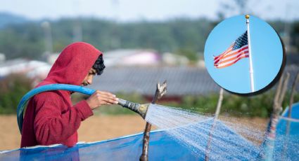 Visa americana para trabajadores agrícolas: ¿cuánto cuesta, requisitos y quiénes pueden obtenerla?