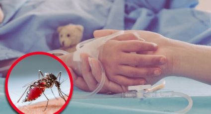 Muere niño de 10 años por picadura de mosquito en Coahuila; ¿qué enfermedad contrajo?