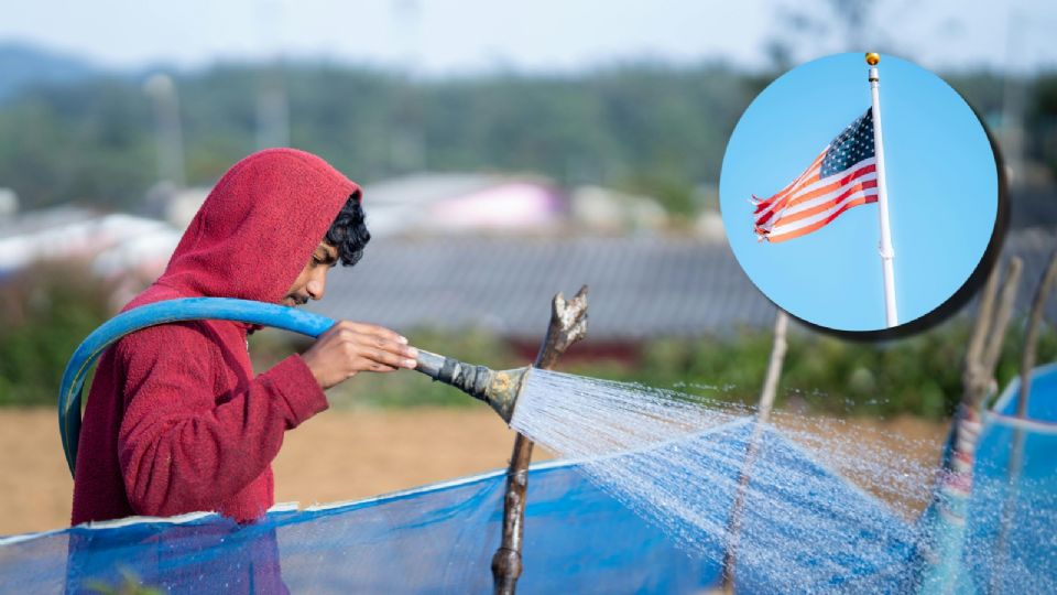 Visa para trabajadores agrícolas: ¿cuánto cuesta y quiénes pueden solicitarla?