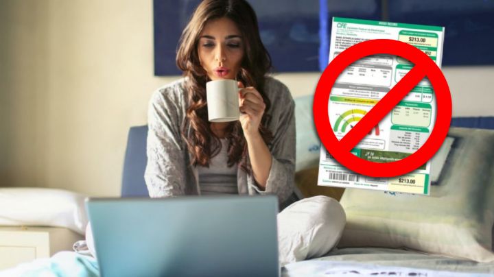 CFE: ¿cómo pagar la luz si no tengo mi recibo?; la comisión ofrece estas opciones