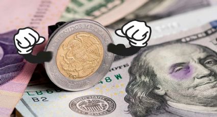 Dólar 'desvelado', peso amanece 'fortachón': tipo de cambio del dólar HOY 16 de noviembre del 2024