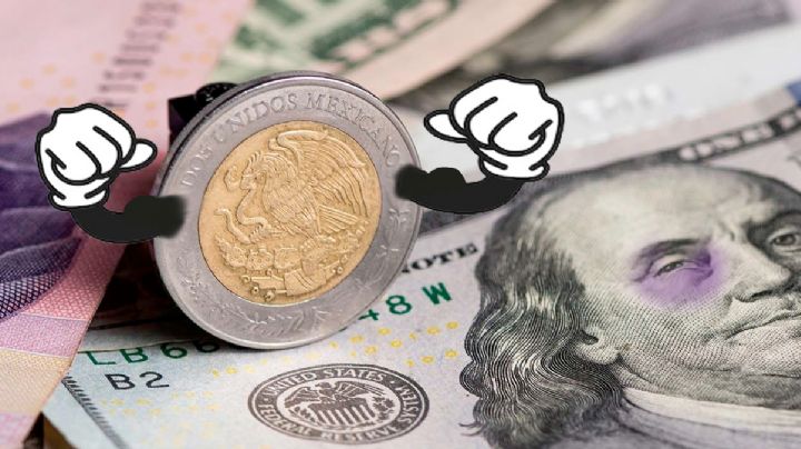 Dólar 'desvelado', peso amanece 'fortachón': tipo de cambio del dólar HOY 16 de noviembre del 2024
