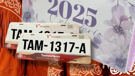 Tamaulipas: obtén un 30% de descuento en placas y tenencia 2025 con solo cumplir dos requisitos