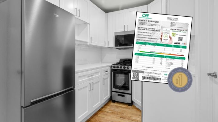 Este es el lugar ideal para poner el refrigerador y ahorrar en el recibo de la CFE