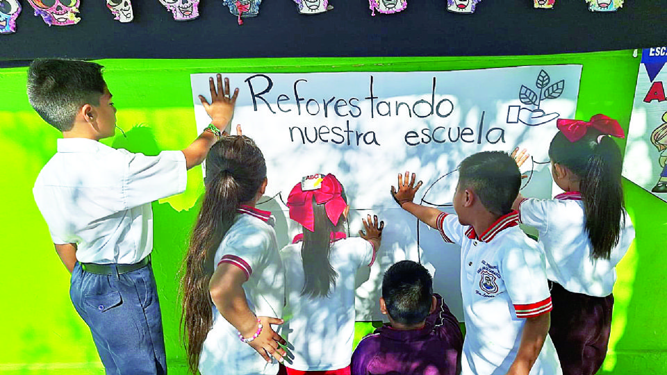 El proyecto iniciado con estudiantes de primer grado, se extendió a todo el alumnado de la escuela.
