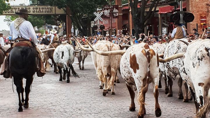 Lánzate un fin de semana a conocer el corazón del Viejo Oeste más vaquero de Texas y el mundo