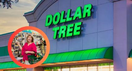 Dollar Tree: 7 artículos que desaparecerán pronto y tendrías que comprar antes del invierno