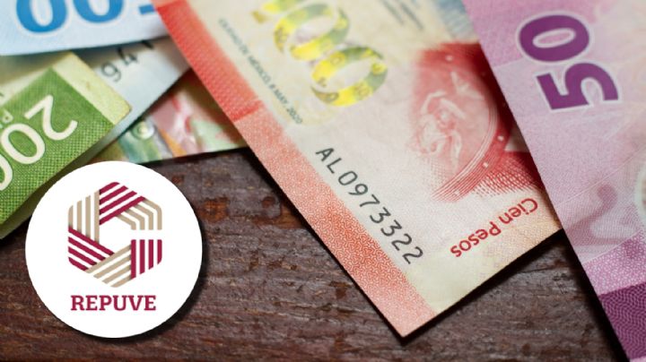 Autos chocolate: costo del trámite de regularización en noviembre de 2024