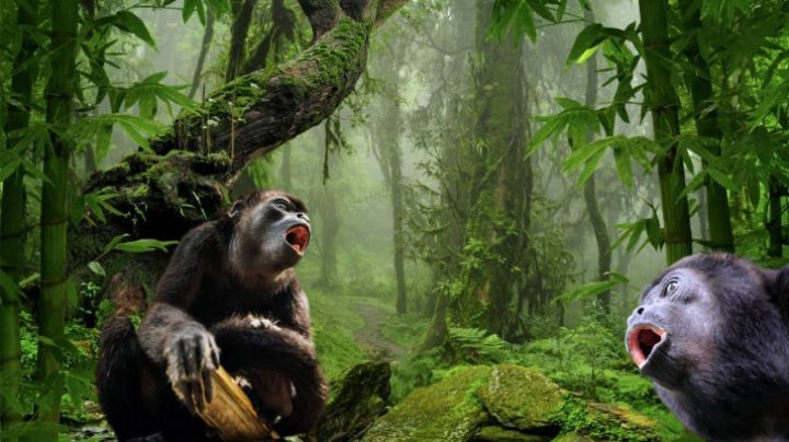 Este aterrador aullido puede ser escuchado en las selvas de México; es causado por este animal