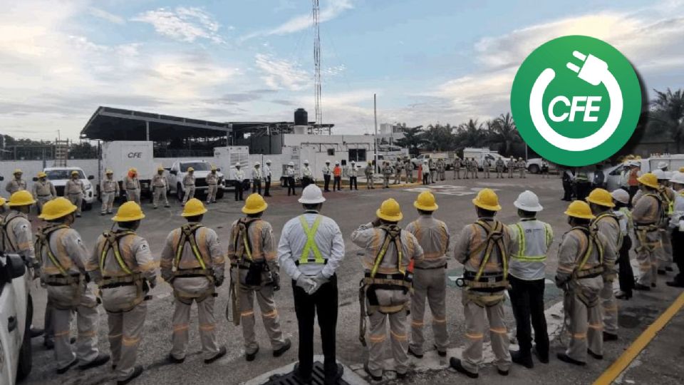 CFE tendrá operativo contra diablito en esta región de México