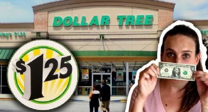 8 productos nuevos de Dollar Tree para tus fiestas, ¡desde $1.25!; sé de los primeros en tenerlos