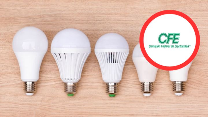 CFE: estos focos son los que recomienda la institución para ahorrar y reducir tu tarifa