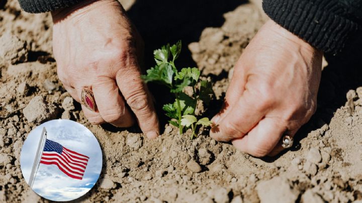 Visa de trabajo: ¿puedo tener dos empleos en Estados Unidos de manera legal?