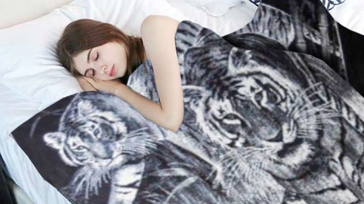 Cobija del tigre: en este lugar puedes encontrar la más calientita y bonita, al precio más barato