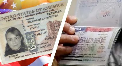 ¿Puedo tener más de una Visa americana diferente a la vez?; esto dice la ley de EU